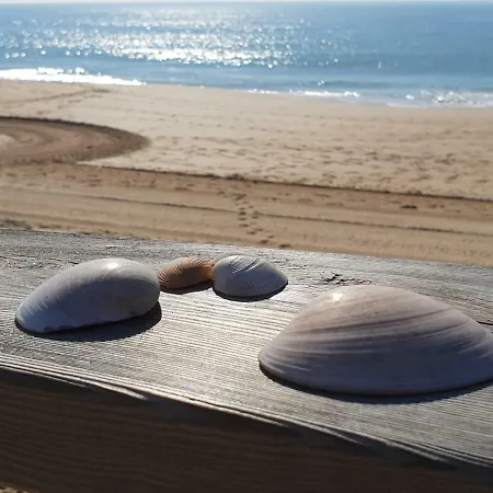 Algarve Beachfront Apartment *